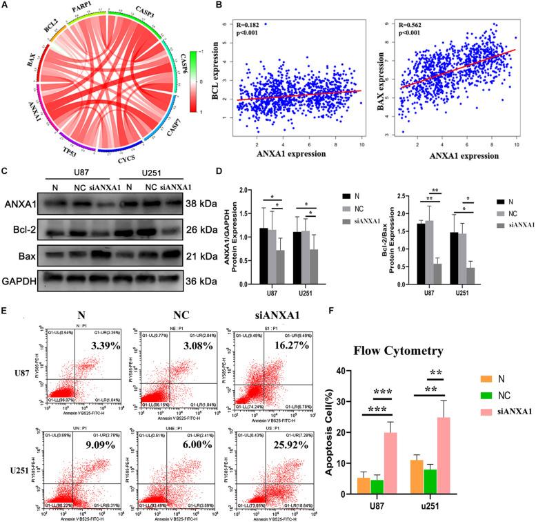 https://cdn.ncbi.nlm.nih.gov/pmc/blobs/f888/8371204/2ac19cb05c1d/fcell-09-659080-g008.jpg