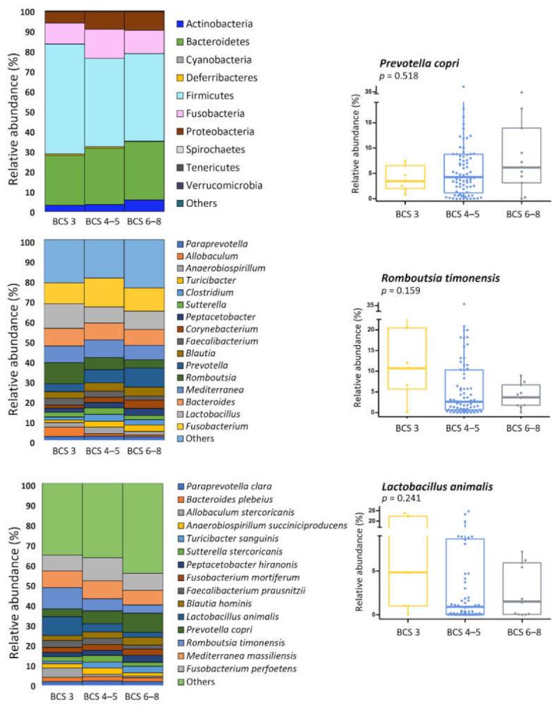 https://cdn.ncbi.nlm.nih.gov/pmc/blobs/f895/8388711/15fe6ed0eb2d/animals-11-02432-g007.jpg