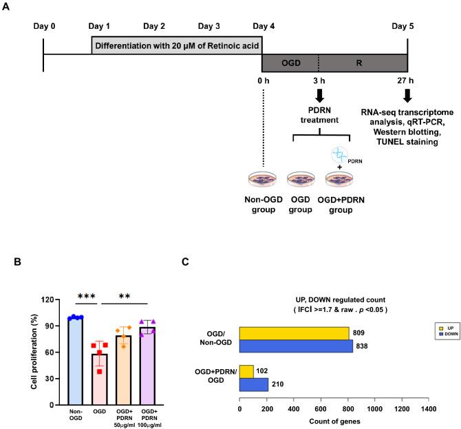https://cdn.ncbi.nlm.nih.gov/pmc/blobs/f8a3/10097812/f95875d40aff/41598_2023_32744_Fig1_HTML.jpg