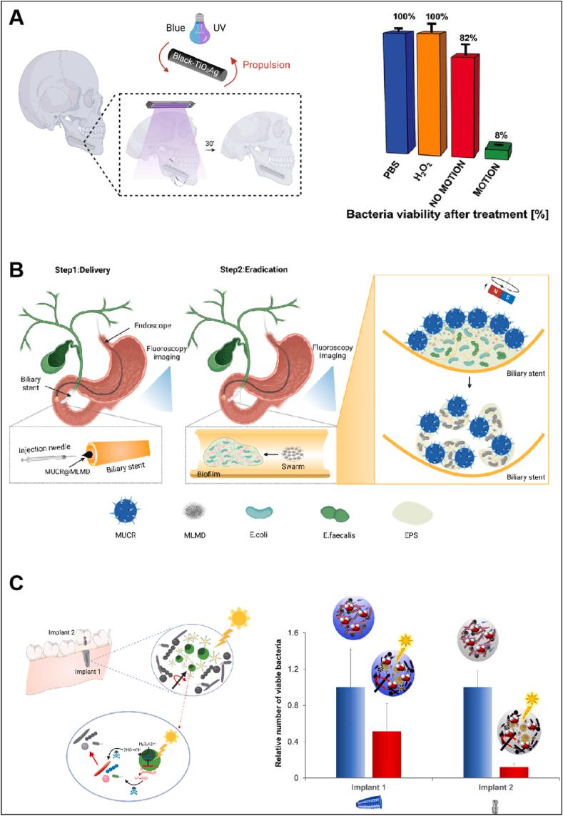 https://cdn.ncbi.nlm.nih.gov/pmc/blobs/f8af/12171819/4241ca9f1eab/gr3.jpg