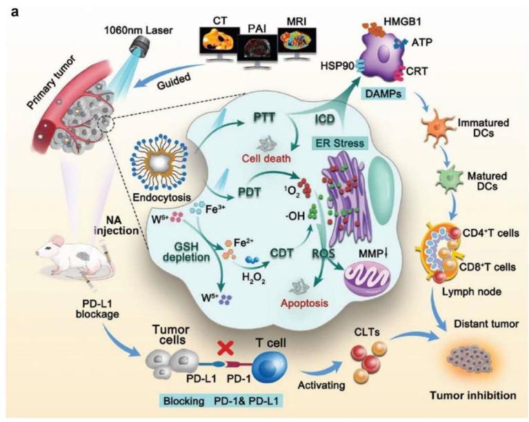 https://cdn.ncbi.nlm.nih.gov/pmc/blobs/f8b3/9144442/8a3be89b8b48/nanomaterials-12-01656-g005a.jpg