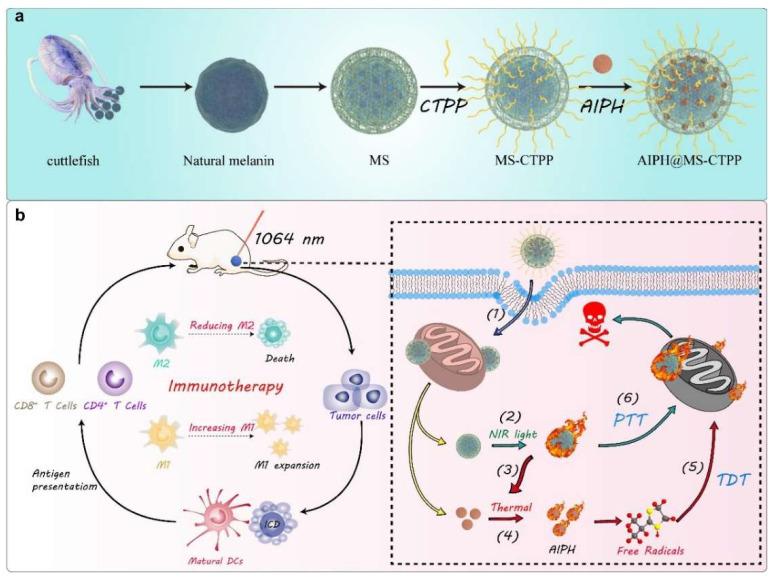 https://cdn.ncbi.nlm.nih.gov/pmc/blobs/f8b3/9144442/b0bb046c26ce/nanomaterials-12-01656-g003.jpg