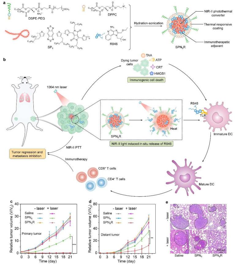 https://cdn.ncbi.nlm.nih.gov/pmc/blobs/f8b3/9144442/bbbd531fc5e5/nanomaterials-12-01656-g002.jpg