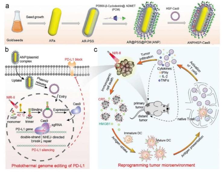 https://cdn.ncbi.nlm.nih.gov/pmc/blobs/f8b3/9144442/cfbea6501b1c/nanomaterials-12-01656-g004.jpg