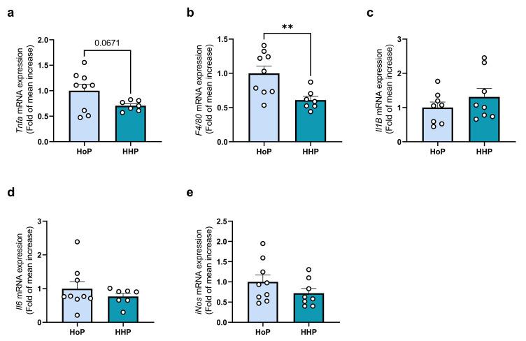 https://cdn.ncbi.nlm.nih.gov/pmc/blobs/f8c5/9220199/72647de5181c/antioxidants-11-01091-g005.jpg