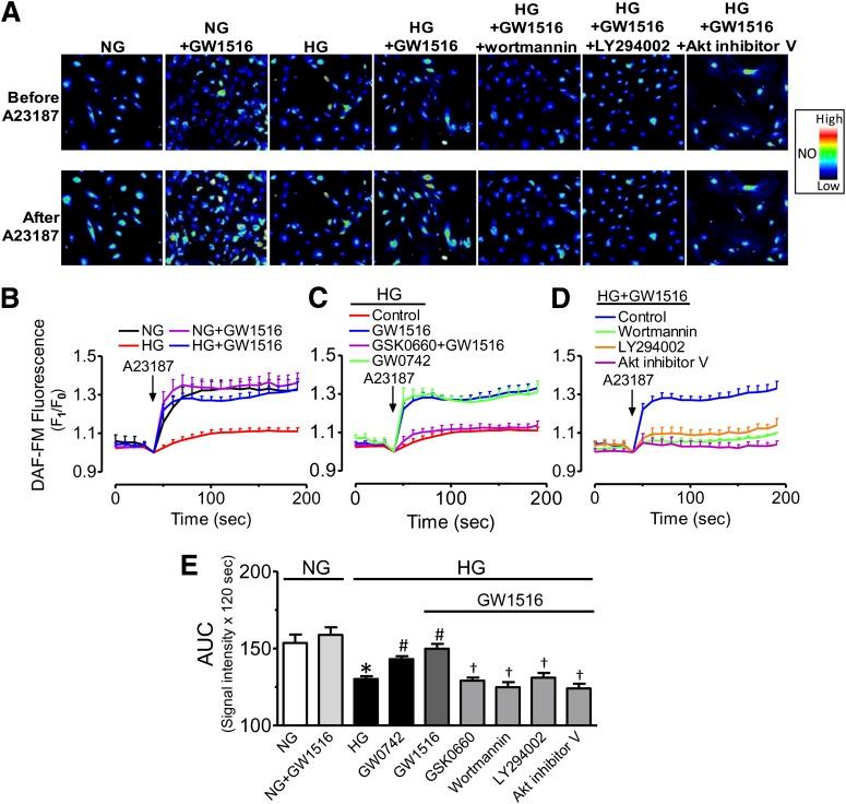 https://cdn.ncbi.nlm.nih.gov/pmc/blobs/f8c7/3501853/4edfa62105a9/3285fig2.jpg