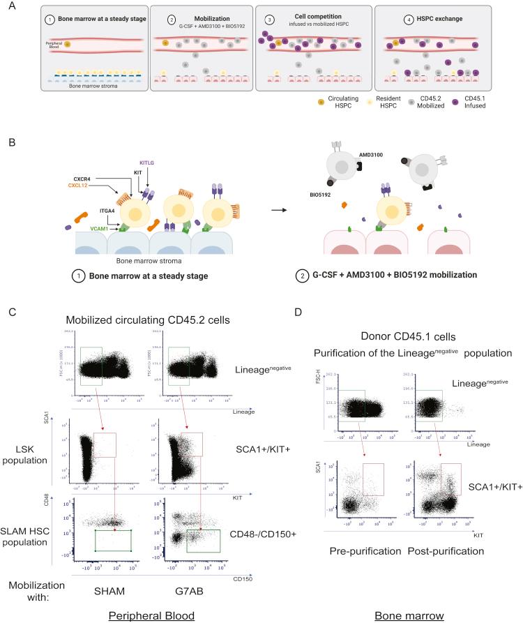 https://cdn.ncbi.nlm.nih.gov/pmc/blobs/f8cc/9240327/491adc7133a4/figs1.jpg
