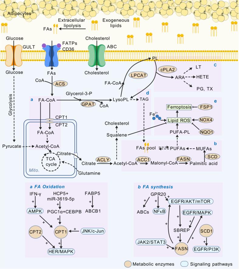 https://cdn.ncbi.nlm.nih.gov/pmc/blobs/f8cf/11472704/465b9827b4c5/cdr-7-38.fig.2.jpg
