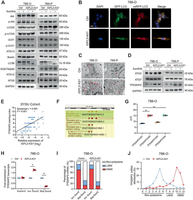 https://cdn.ncbi.nlm.nih.gov/pmc/blobs/f8d2/9811158/0004bd85147d/103fig3.jpg