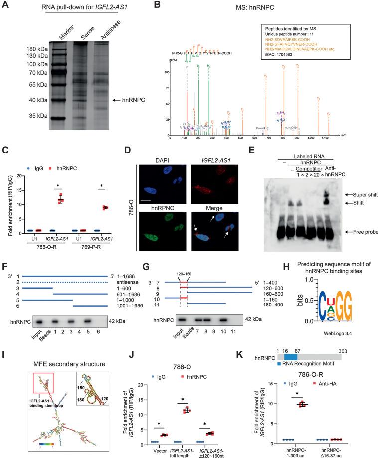 https://cdn.ncbi.nlm.nih.gov/pmc/blobs/f8d2/9811158/3ec70e8c376e/103fig4.jpg