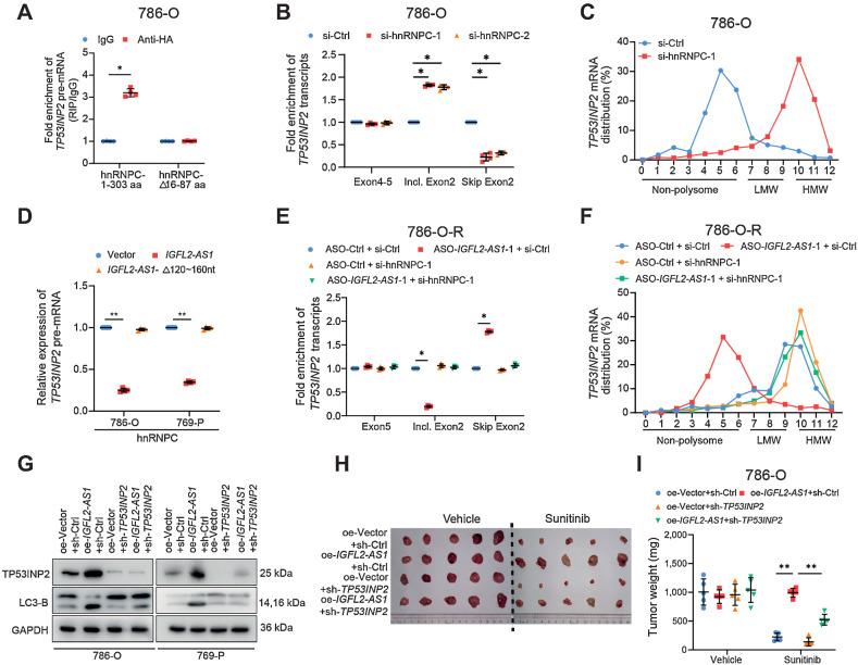 https://cdn.ncbi.nlm.nih.gov/pmc/blobs/f8d2/9811158/f676804055b1/103fig5.jpg