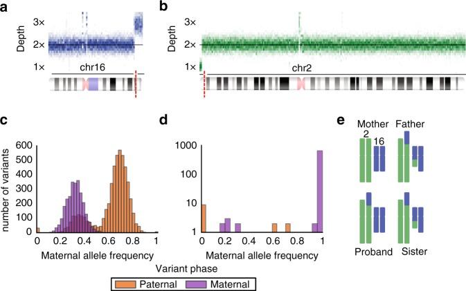 https://cdn.ncbi.nlm.nih.gov/pmc/blobs/f8d6/6752263/7a74a5b1fb06/41436_2018_295_Fig2_HTML.jpg