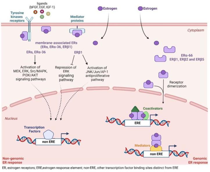 https://cdn.ncbi.nlm.nih.gov/pmc/blobs/f8de/10526871/fd7b8a101cb8/cancers-15-04653-g003.jpg