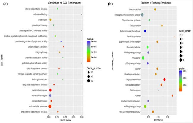 https://cdn.ncbi.nlm.nih.gov/pmc/blobs/f8e8/11049749/63545a3afbf3/j_biol-2022-0843-fig005.jpg