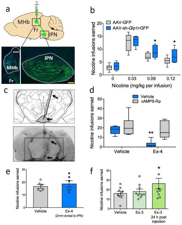 https://cdn.ncbi.nlm.nih.gov/pmc/blobs/f8ea/5541856/aa74a57409e3/nihms857418f6.jpg