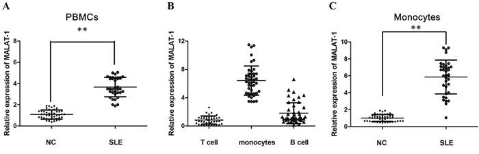 https://cdn.ncbi.nlm.nih.gov/pmc/blobs/f8f1/5652787/006ed7c218f4/oncotarget-08-77400-g001.jpg
