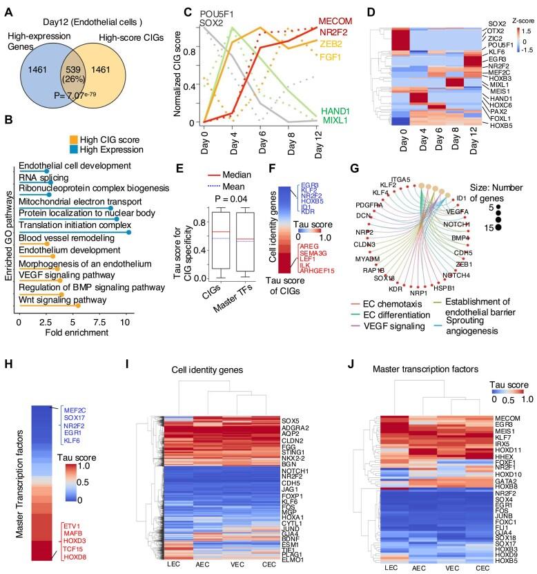 https://cdn.ncbi.nlm.nih.gov/pmc/blobs/f8fa/12117433/2fd47b94b834/gkaf431fig6.jpg