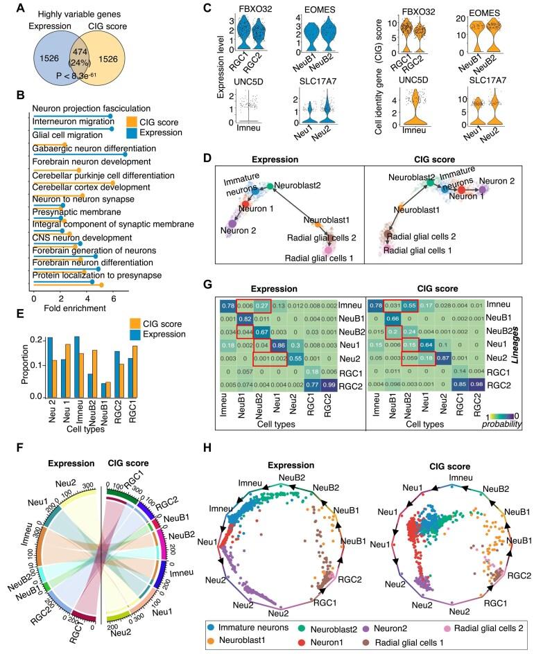 https://cdn.ncbi.nlm.nih.gov/pmc/blobs/f8fa/12117433/b7406d492ce3/gkaf431fig5.jpg