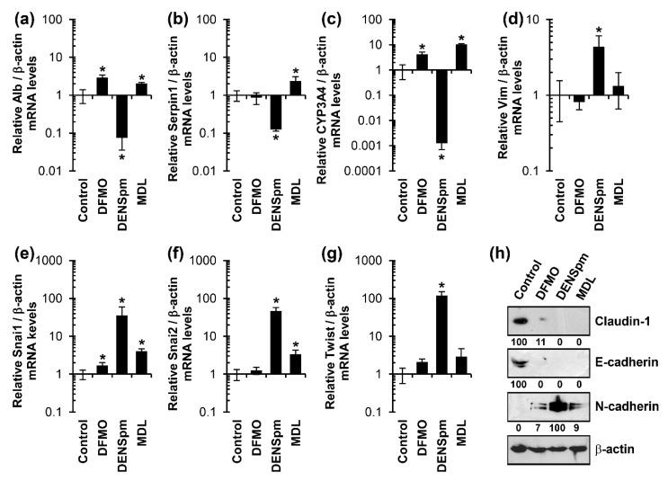 https://cdn.ncbi.nlm.nih.gov/pmc/blobs/f909/6316793/5de58fdc8e1e/cells-07-00275-g003.jpg