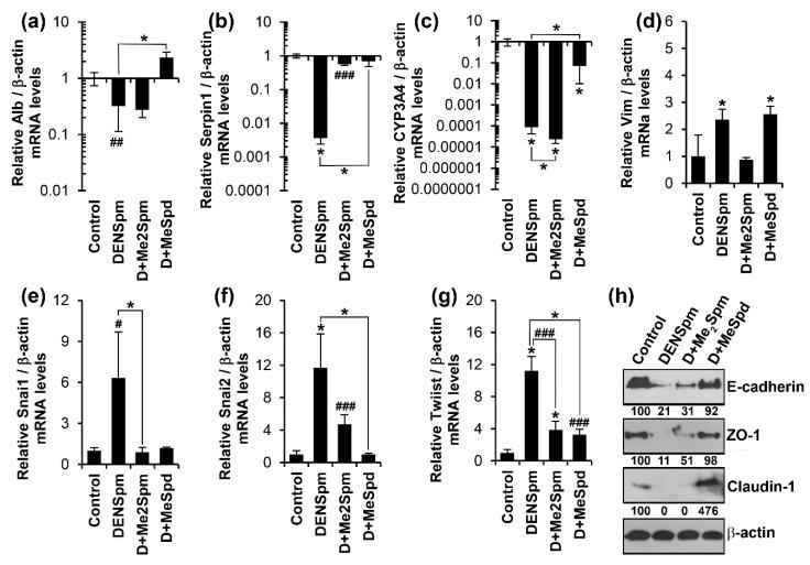 https://cdn.ncbi.nlm.nih.gov/pmc/blobs/f909/6316793/ec85432c81b3/cells-07-00275-g005.jpg