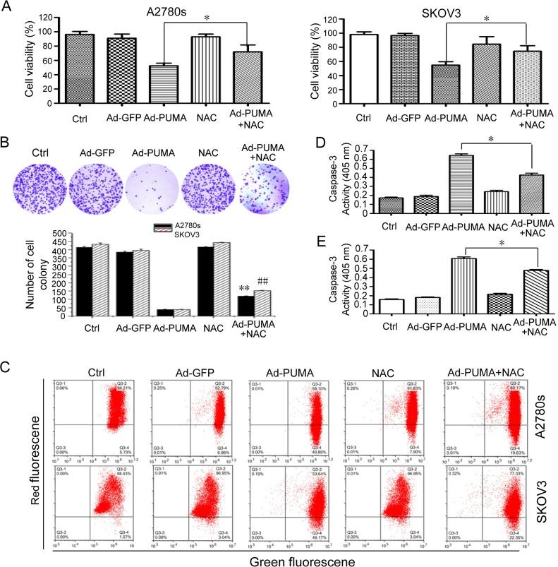 https://cdn.ncbi.nlm.nih.gov/pmc/blobs/f963/5410321/1462dac187e2/oncotarget-08-23492-g005.jpg