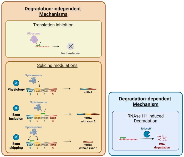 https://cdn.ncbi.nlm.nih.gov/pmc/blobs/f96c/11592788/312832fc417c/cells-13-01869-g002.jpg