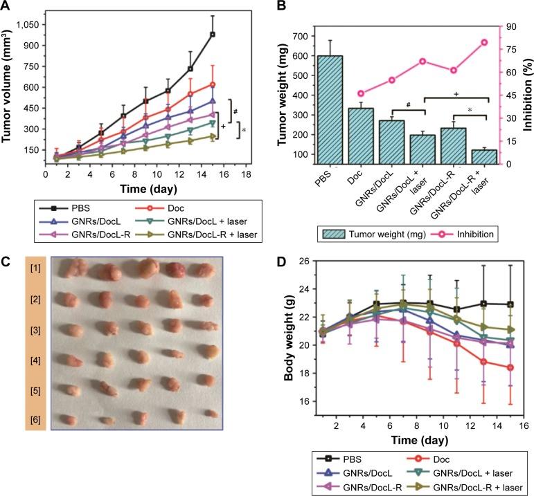 https://cdn.ncbi.nlm.nih.gov/pmc/blobs/f98a/5661837/69d9b3221902/ijn-12-7869Fig7.jpg