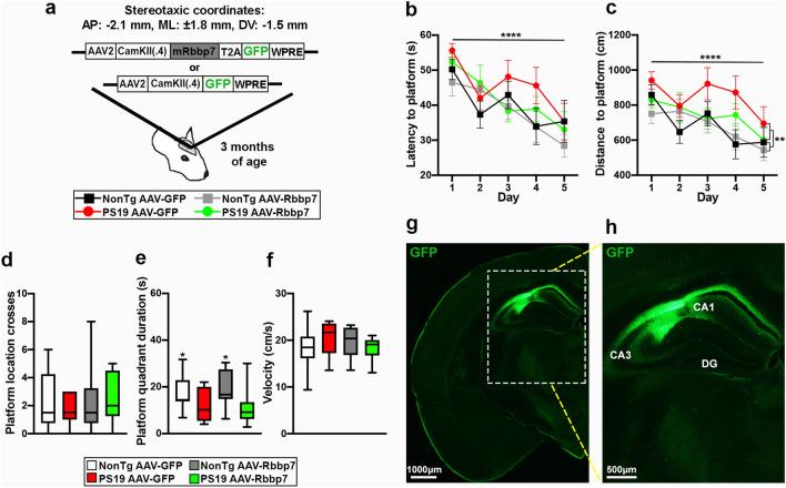 https://cdn.ncbi.nlm.nih.gov/pmc/blobs/f9a9/8270842/4af2f549942e/401_2021_2323_Fig3_HTML.jpg