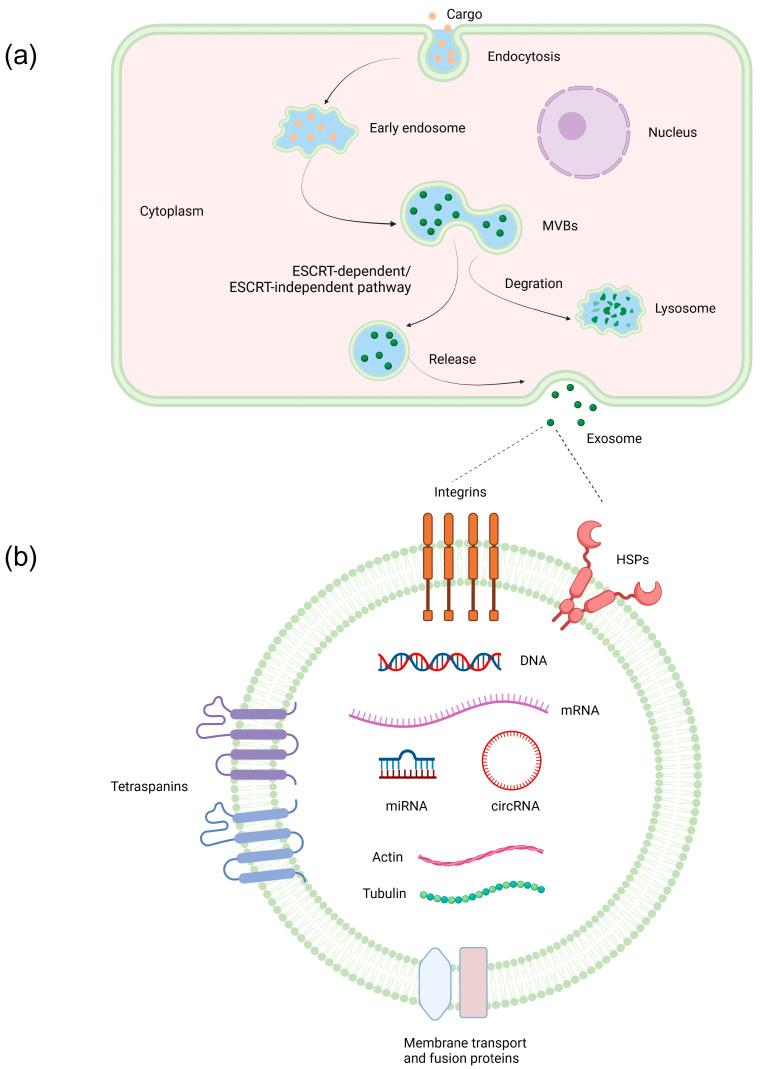 https://cdn.ncbi.nlm.nih.gov/pmc/blobs/f9aa/10537613/87af8d10c832/pharmaceutics-15-02365-g001.jpg