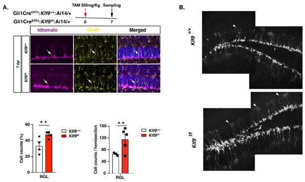 https://cdn.ncbi.nlm.nih.gov/pmc/blobs/f9ad/8820733/3b4367cecd90/elife-72195-sa2-fig2.jpg