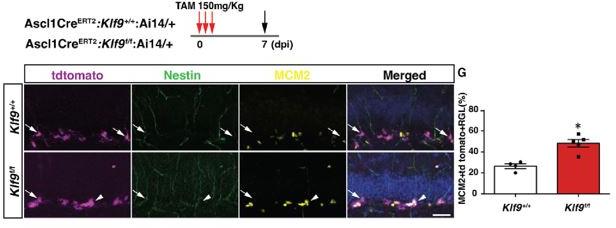 https://cdn.ncbi.nlm.nih.gov/pmc/blobs/f9ad/8820733/e908c43633c1/elife-72195-sa2-fig1.jpg