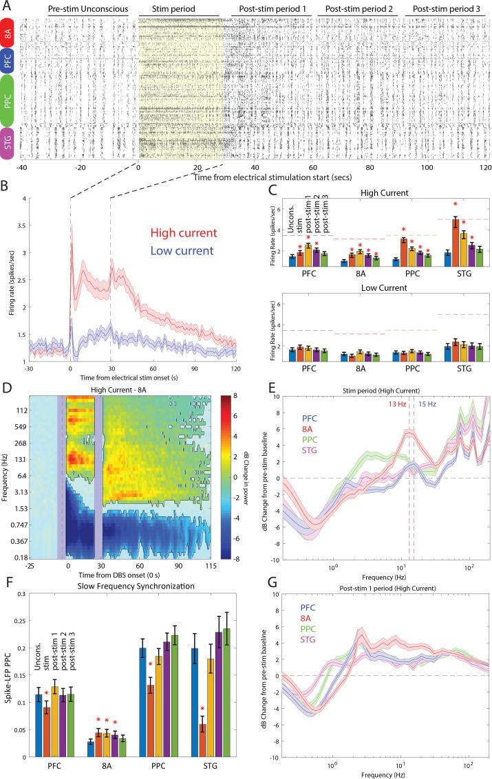 https://cdn.ncbi.nlm.nih.gov/pmc/blobs/f9cb/8079153/8c691addb6f6/elife-60824-fig9.jpg