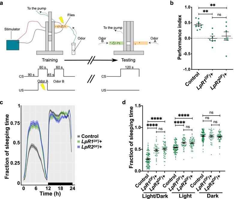https://cdn.ncbi.nlm.nih.gov/pmc/blobs/f9ce/9454125/ec33115f2cd1/12915_2022_1393_Fig1_HTML.jpg