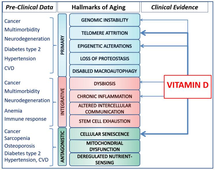 https://cdn.ncbi.nlm.nih.gov/pmc/blobs/f9de/10975458/4d3da44e60be/nutrients-16-00906-g001.jpg