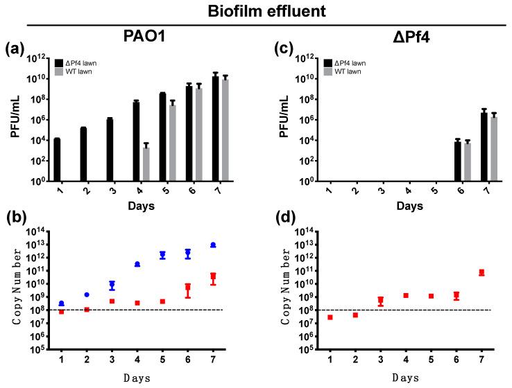 https://cdn.ncbi.nlm.nih.gov/pmc/blobs/f9ea/8402870/87900153ee98/viruses-13-01614-g001.jpg