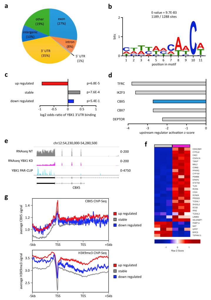 https://cdn.ncbi.nlm.nih.gov/pmc/blobs/fa09/7352269/87336c001cee/ijms-21-04453-g003.jpg