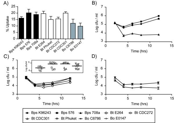 https://cdn.ncbi.nlm.nih.gov/pmc/blobs/fa0c/3025829/7d89a221f836/1471-2180-11-11-1.jpg