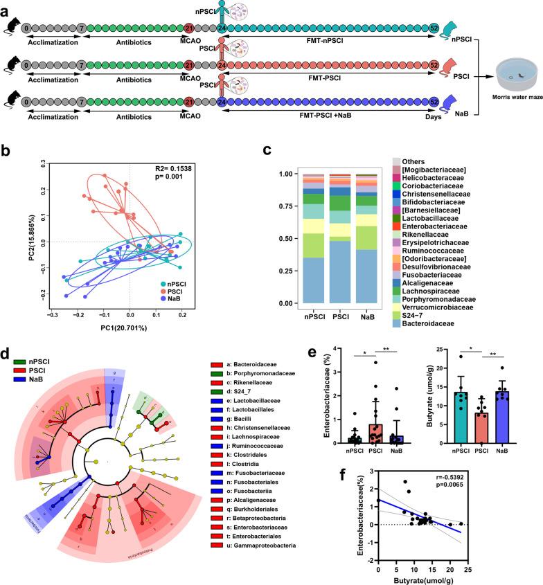 https://cdn.ncbi.nlm.nih.gov/pmc/blobs/fa10/8981610/04168b87aaa0/12974_2022_2435_Fig2_HTML.jpg