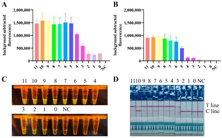 https://cdn.ncbi.nlm.nih.gov/pmc/blobs/fa3b/11125590/dcaa7422b378/viruses-16-00753-g005.jpg