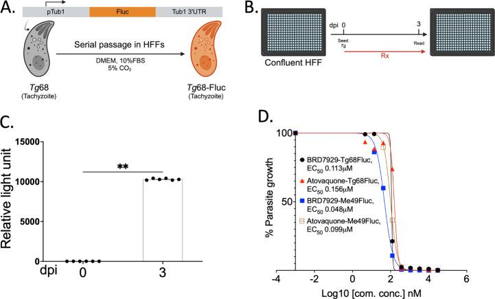 https://cdn.ncbi.nlm.nih.gov/pmc/blobs/fa4b/11915370/b942e344193d/id4c00689_0001.jpg