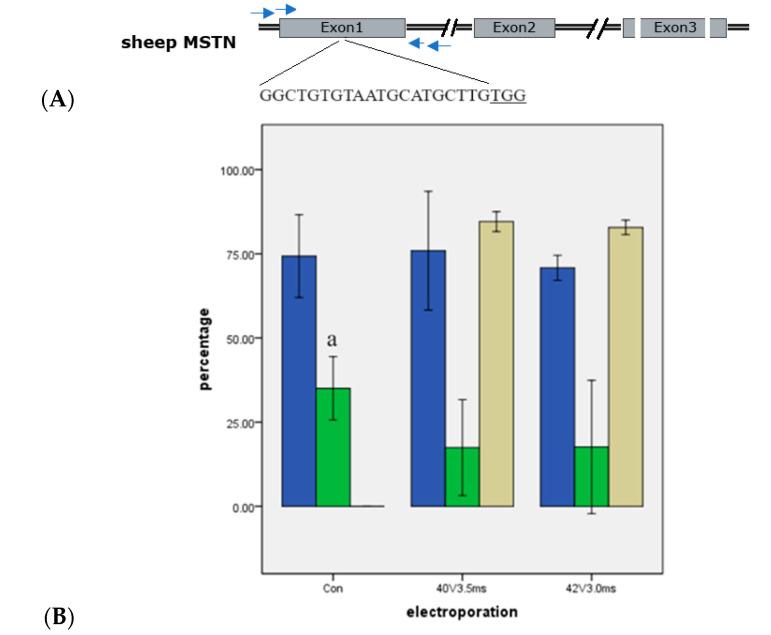 https://cdn.ncbi.nlm.nih.gov/pmc/blobs/fa54/11395511/1cb33aac5d11/ijms-25-09145-g003.jpg
