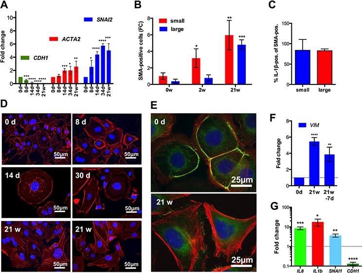 https://cdn.ncbi.nlm.nih.gov/pmc/blobs/fa56/4741876/698d5c200e8d/oncotarget-06-40005-g007.jpg