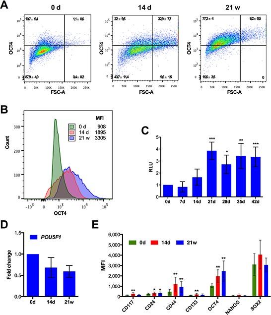 https://cdn.ncbi.nlm.nih.gov/pmc/blobs/fa56/4741876/b68aad157a5a/oncotarget-06-40005-g005.jpg