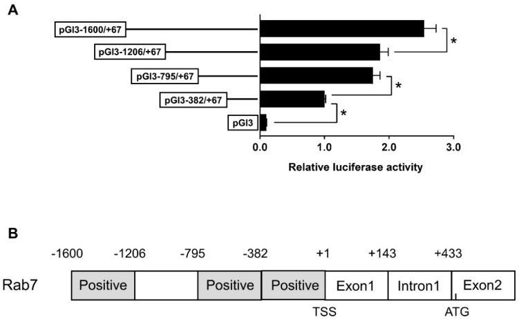 https://cdn.ncbi.nlm.nih.gov/pmc/blobs/fa5c/10969980/21687010fd44/genes-15-00334-g003.jpg