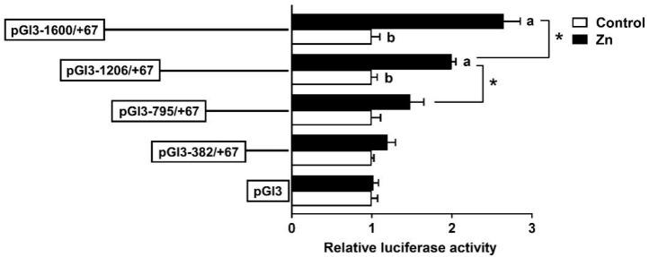 https://cdn.ncbi.nlm.nih.gov/pmc/blobs/fa5c/10969980/2478db36b505/genes-15-00334-g004.jpg