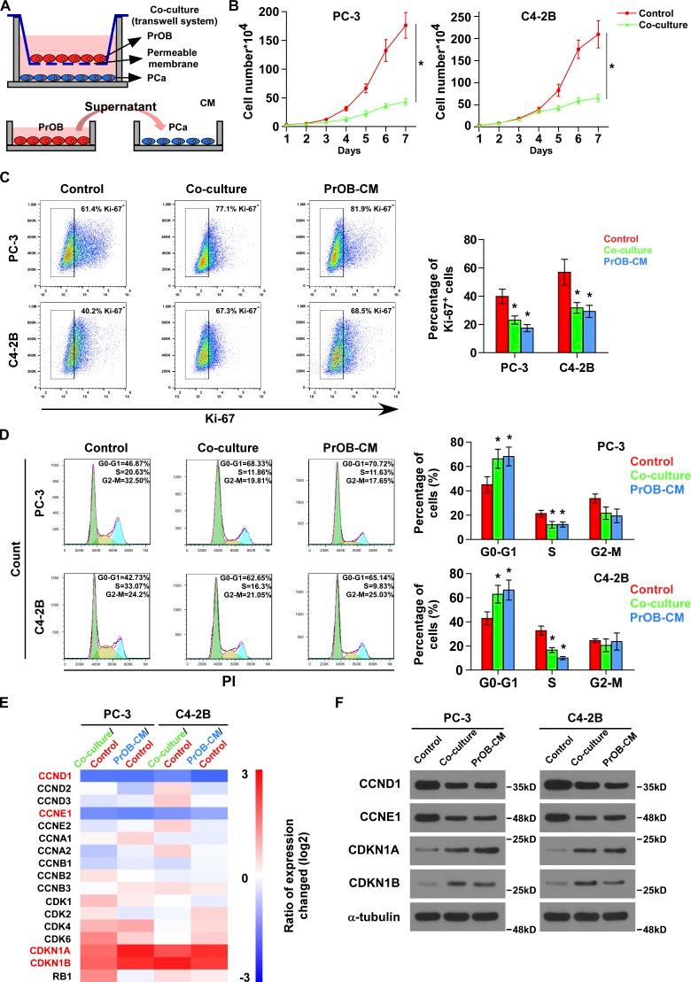 https://cdn.ncbi.nlm.nih.gov/pmc/blobs/fa73/6363426/b4c59ae07b36/JEM_20180661_Fig1.jpg