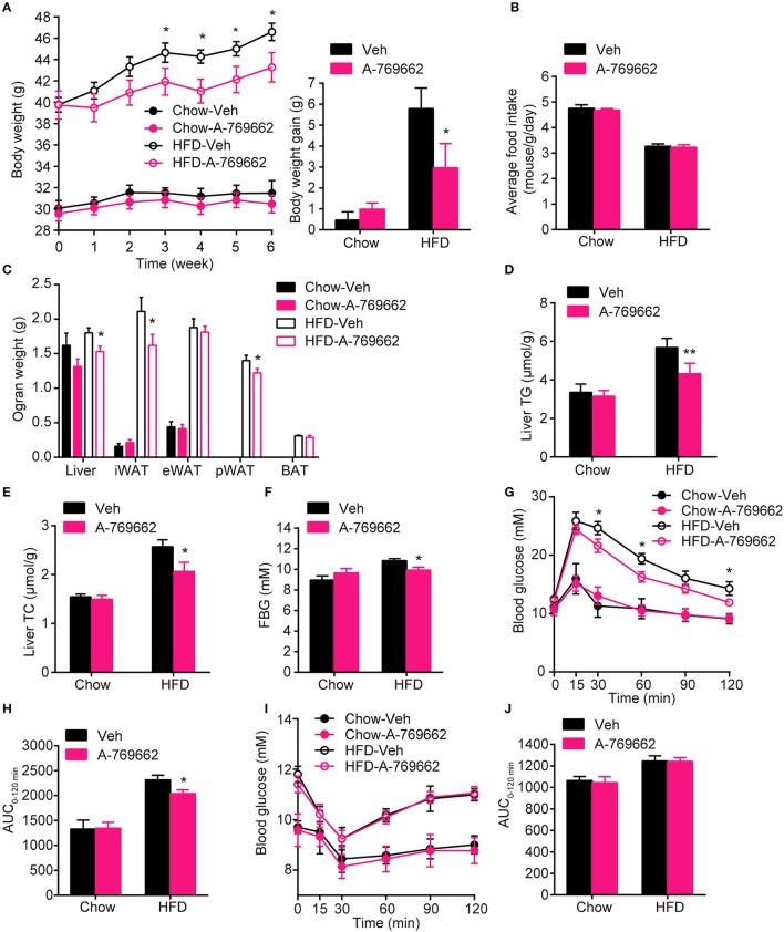 https://cdn.ncbi.nlm.nih.gov/pmc/blobs/fa78/5826329/4b95939f2ccb/fphys-09-00122-g0006.jpg