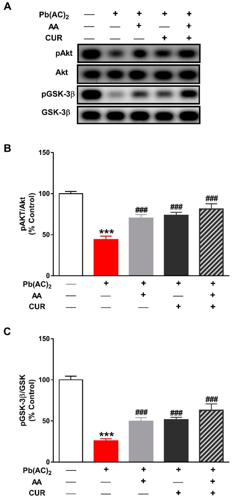 https://cdn.ncbi.nlm.nih.gov/pmc/blobs/fa7d/6920970/f519ac9627b7/biomolecules-09-00703-g007.jpg