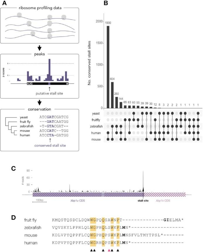 https://cdn.ncbi.nlm.nih.gov/pmc/blobs/fa85/8152447/863803924997/lqab038fig1.jpg