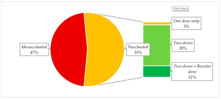 https://cdn.ncbi.nlm.nih.gov/pmc/blobs/fa86/10301173/9648a9b39286/vaccines-11-01081-g001.jpg